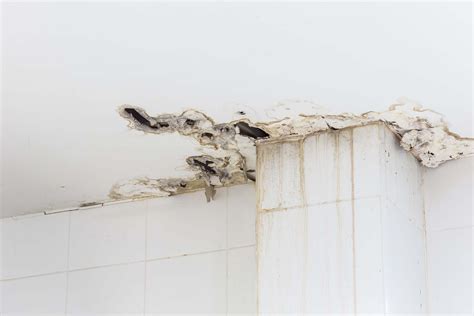 How to Handle Your Apartment Ceiling Leak 